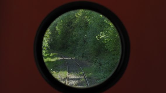 Liens familiers cover image