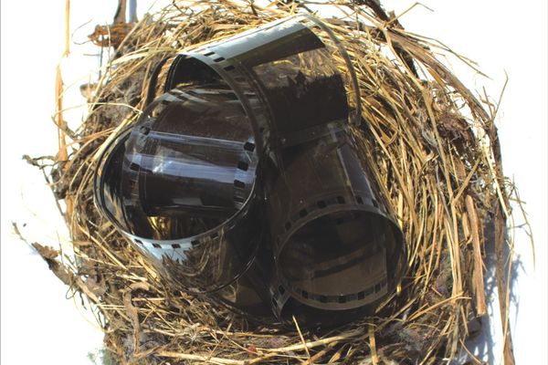 ALTER-NATIVE 19 - 2011 - cover_photo